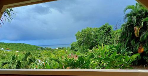 View, Caraibes Cottages Le Jasmin vue mer a 500m de la plage in Bas Vent