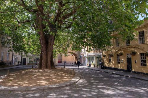 Charming 18th century cottage - central - parking in Combe Down