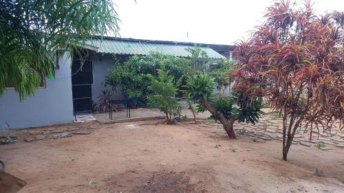 Amatamata in Malindi