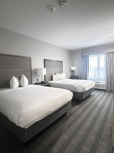 Best Western Plus Wills Point in Wills Point