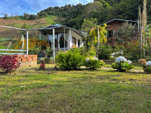 Eco Amigo el Rincón (Eco Amigo el Rincon) in Cerro Punta