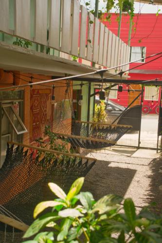 Alpha Arenal Hostel in Ла Фортуна