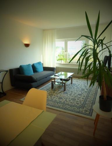 Panoramablick vom Rodenberg in 阿佩萊爾恩