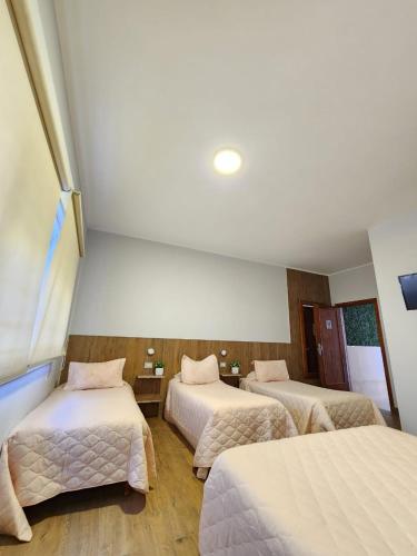 Alas Hotel in San Rafael