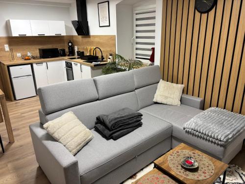 Apartament nad rzeka 2 - Stara Kamienica