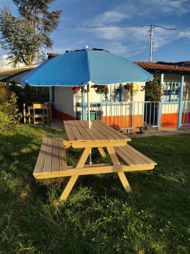 Dārzs, Lactesano es Vida in La Ceja