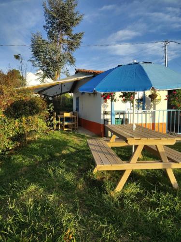 Dārzs, Lactesano es Vida in La Ceja