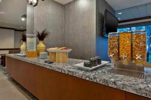 Embassy Suites by Hilton Auburn Hills - image 2