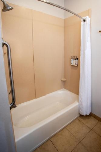 Holiday Inn Express Las Cruces North an IHG Hotel - image 6