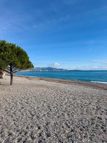 Studio en bord de mer !