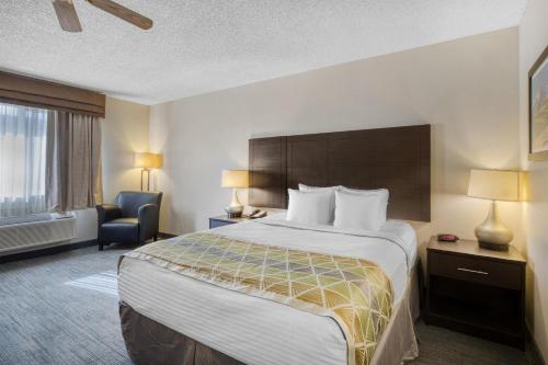1 king bed