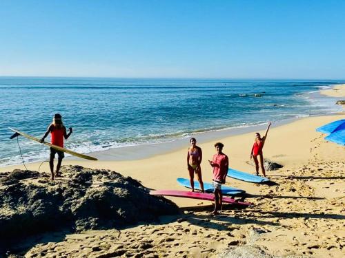 Aloha Surf Hostel in San Jose del Cabo