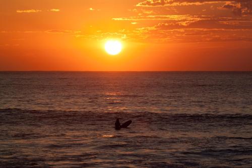 Aloha Surf Hostel in San Jose del Cabo