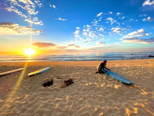 Aloha Surf Hostel in San Jose del Cabo
