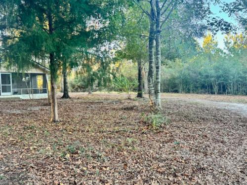 Palm Haven-Your Peaceful Studio Cabin near FL Springs in Ženēva