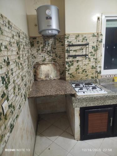 Black iris tadamoune in Quartier El Mansour