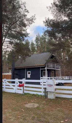Bliska Norwegia in Єдвабно