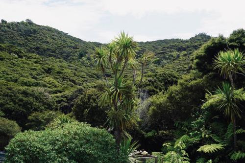 Bahçe, The Lazy Sailor - slow living retreat in Great Barrier Island