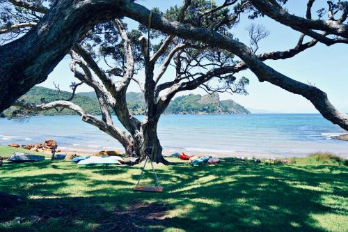 The Lazy Sailor - slow living retreat in Great Barrier Island