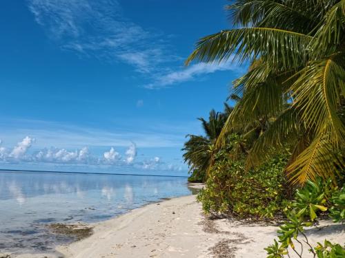 Holiday Villa in Laamu Atoll