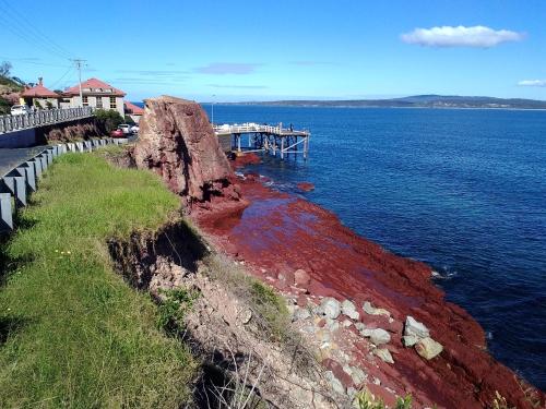 Közeli látványosságok, Como Lodge in Merimbula