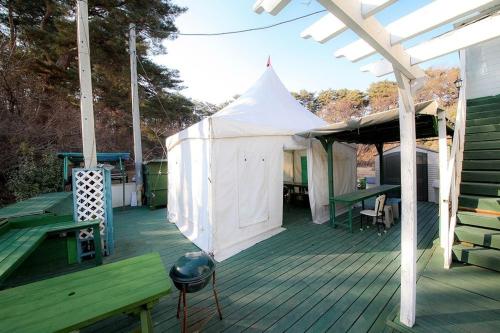 강릉 메종드로즈 사진 3