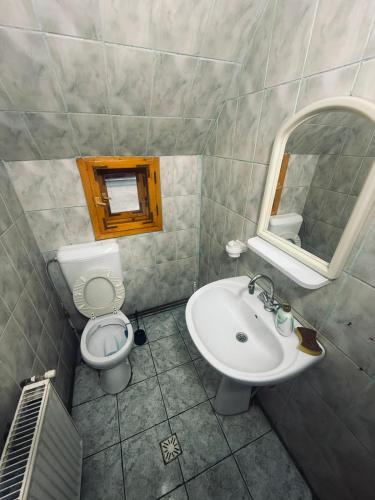 Cabana Valea Lungă (Cabana Valea Lunga) in Zagra