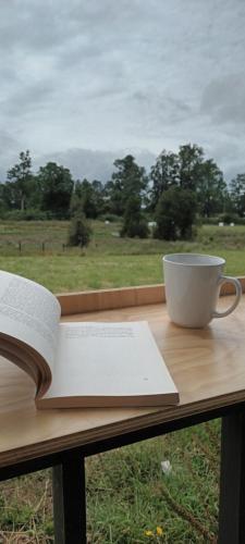 alojamiento duplicado no considerar