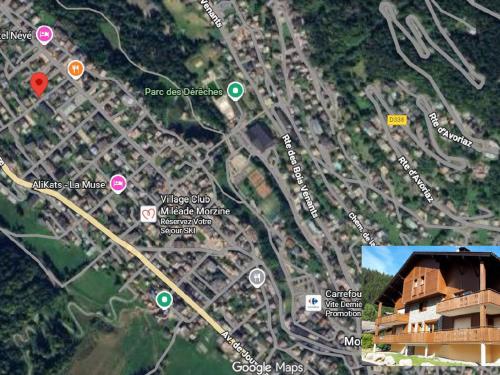 Duplex 3 chambres cheminée 7 pers Morzine - FR-1-754-46 - image 3