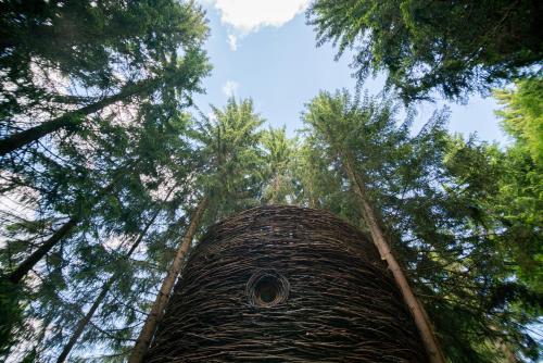 Cabanes dans les arbres - Entre Terre et Ciel