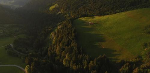 Cabanes dans les arbres - Entre Terre et Ciel