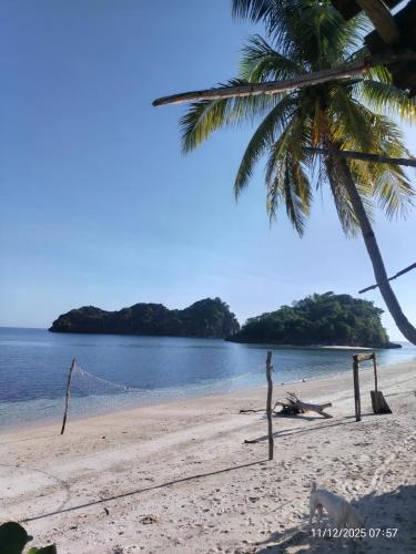 Buyayao island Vitamin Sea in Bulalacao