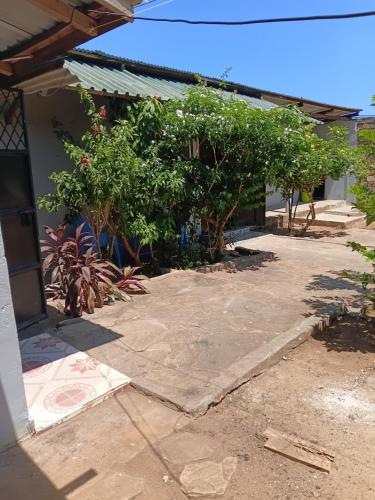 Amatamata in Malindi