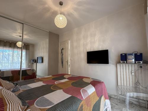 Central Studio in Cannes Near The Martinez - 2351 - image 4