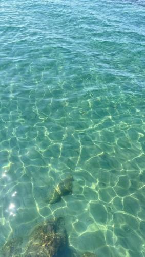 Roma By Sea
