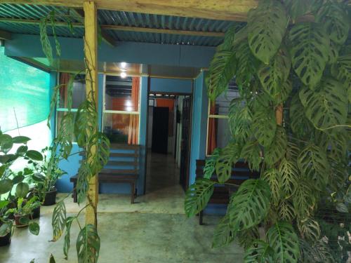Maricel House in Guatuso