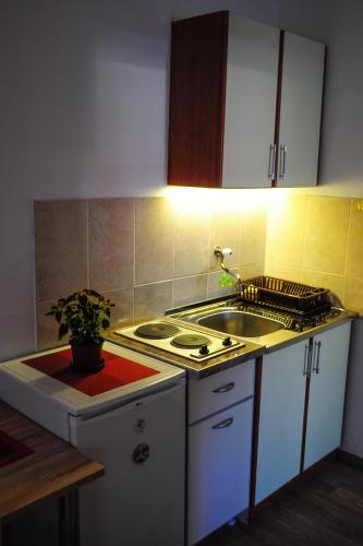 Borozan Apartment - image 6