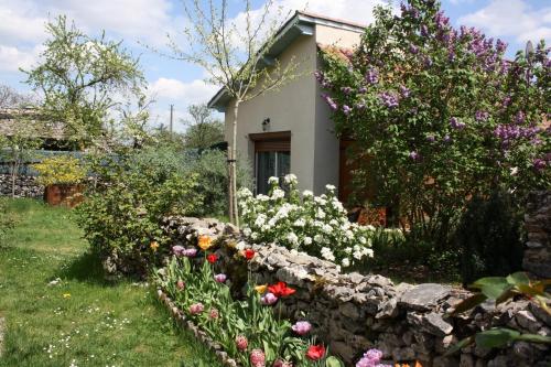 l'île aux étoiles gîte à louer Livernon