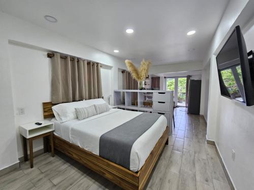Margarita Lodge – khách sạn tại Milton Bight
