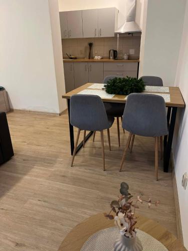 Apartmán Zuzana (Apartman Zuzana) in 魯德尼克