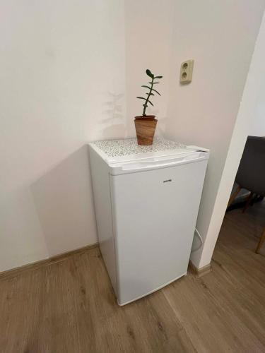 Apartmán Zuzana (Apartman Zuzana) in 魯德尼克