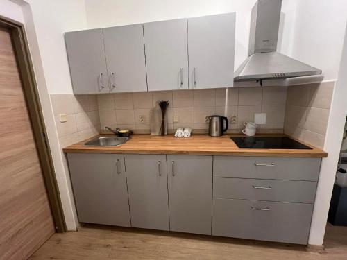 Apartmán Zuzana (Apartman Zuzana) in 魯德尼克