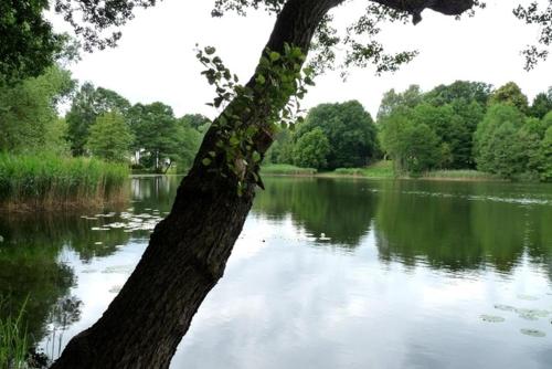 Ferienhaus nahe Stechlinsee in Stechlin