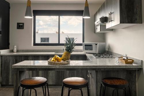 virtuve, Coyotes Housing Services - Torres Departamentales in Peñuelas
