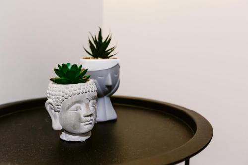 The Modern Hub Apartment - THE NEST - image 5