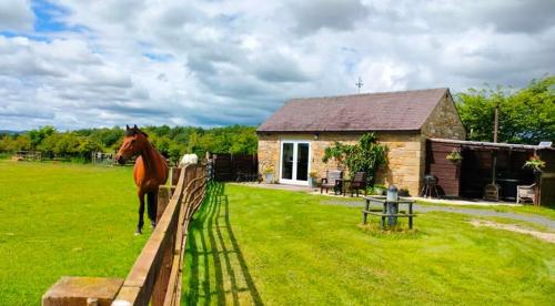 The Hideaway with hot tub, Chathill