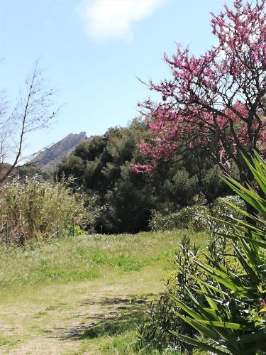 A szálláshely kívülről, Studio 35m2 climatisé, 10mn des calanques (Studio 35m2 climatise, 10mn des calanques) in La Ciotat