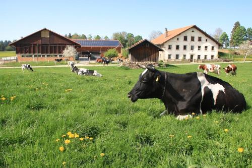 Appartement au coeur de la nature in Saignelegier