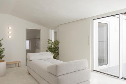 Architectural Gem in Santa Catarina - image 4
