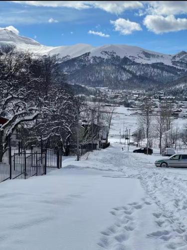 Luxury Villa in the heart of Bakuriani